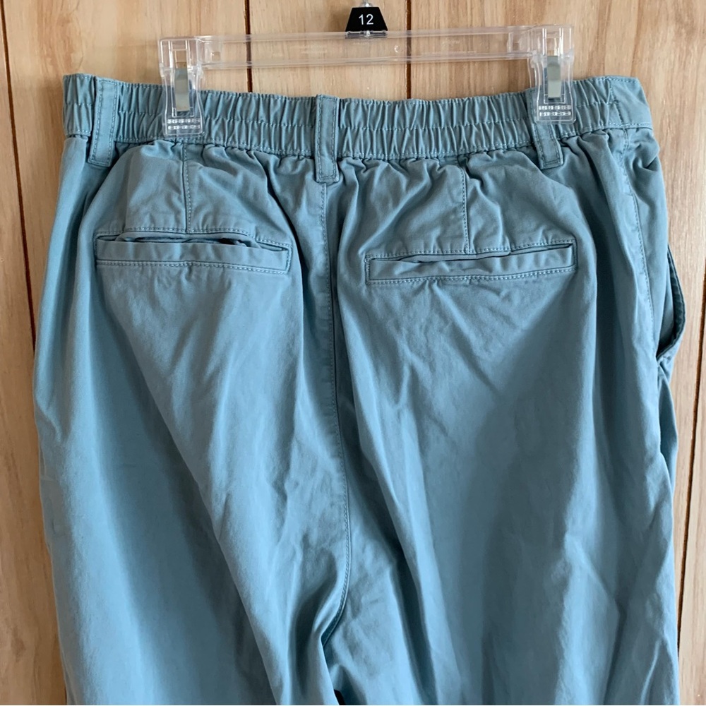 Gap TALL Mineral Blue High Rise Pleated Khakis - Picture 11 of 14